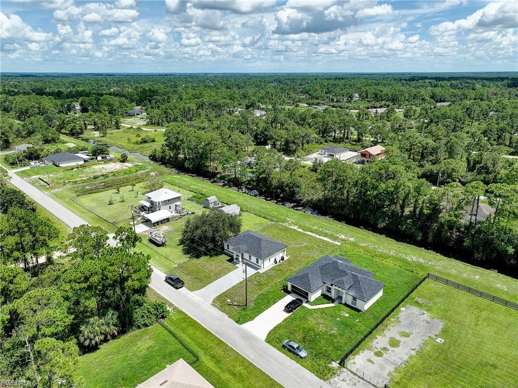 Aerial view of a forest