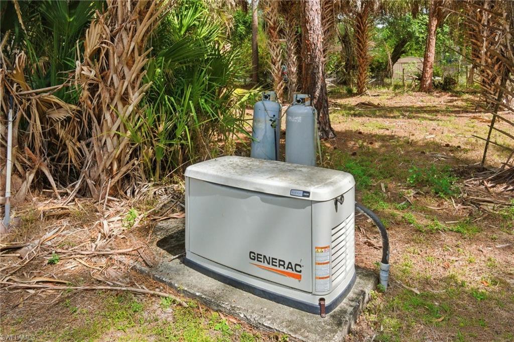 Generator for main house