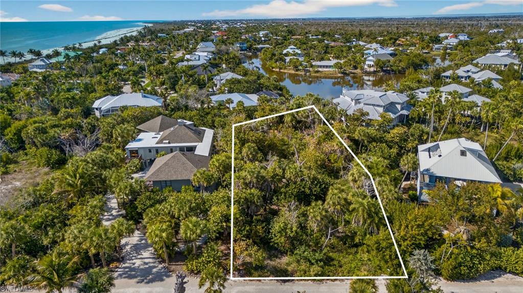 933 Strangler Fig LN photo 13