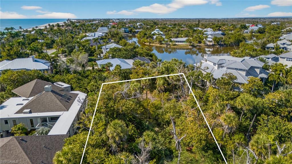 933 Strangler Fig LN photo 14