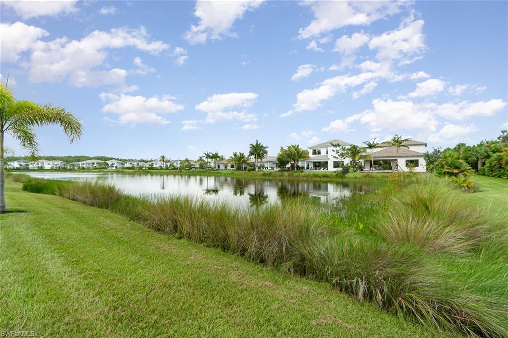 Water view