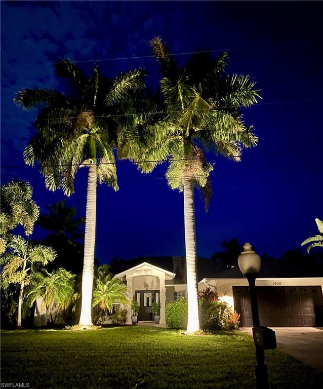 Royal palms lit up at night