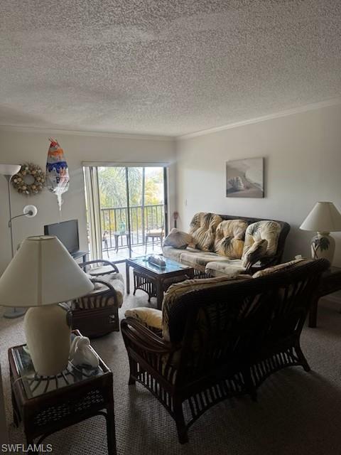 Carpeted living area with ornamental molding and a textured ceiling