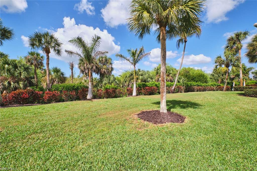View of grassy yard