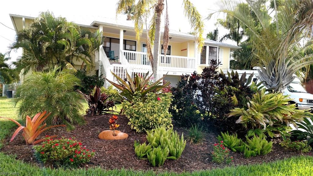 Tropical Landscaping!