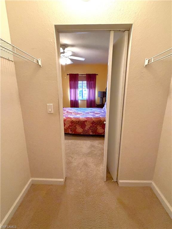 Walk-in closet in bedroom with carpet flooring