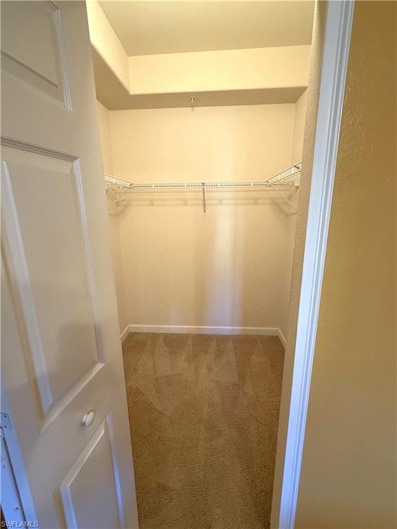 Large walk-in closet with carpet flooring