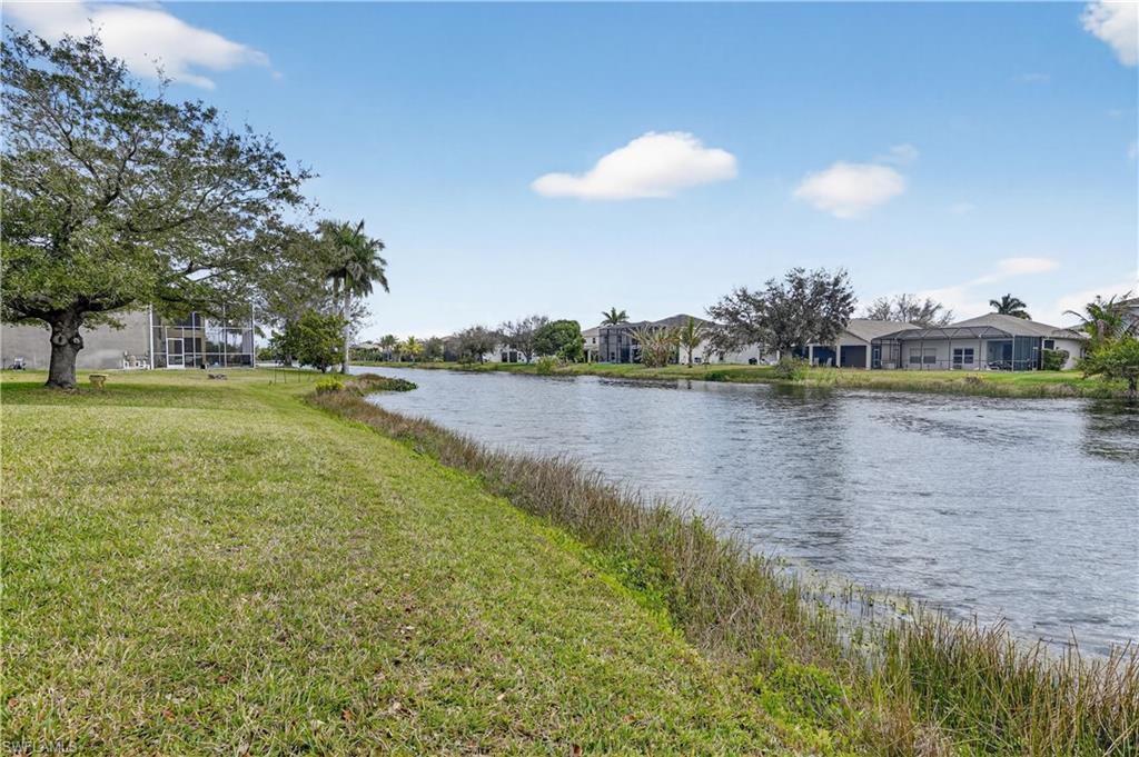 9689 Pineapple Preserve CT photo 36