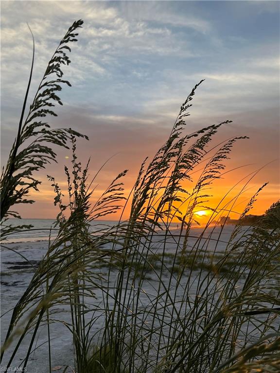 Sea oats and sunset.