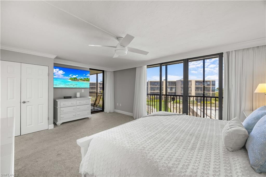 Primary bedroom with view through impact sliders to the courtyard pool area.
