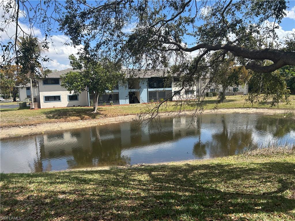 Water view