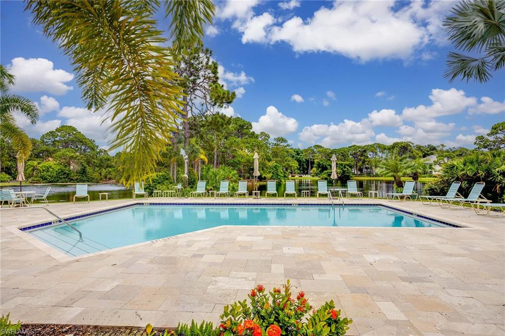 285 Naples Cove DR 1703 photo 46