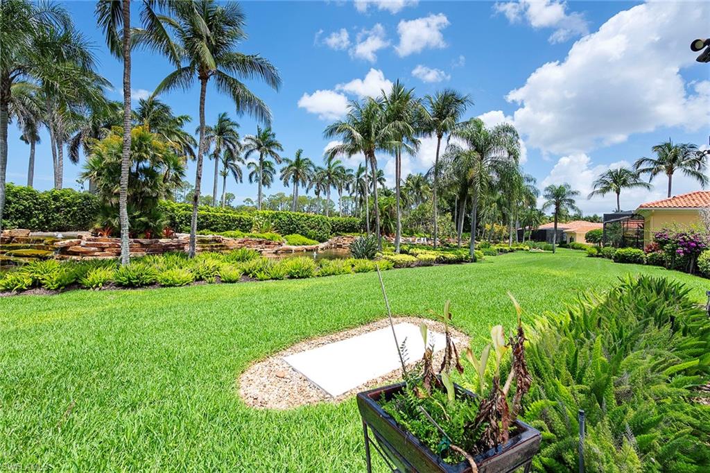 Back yard view