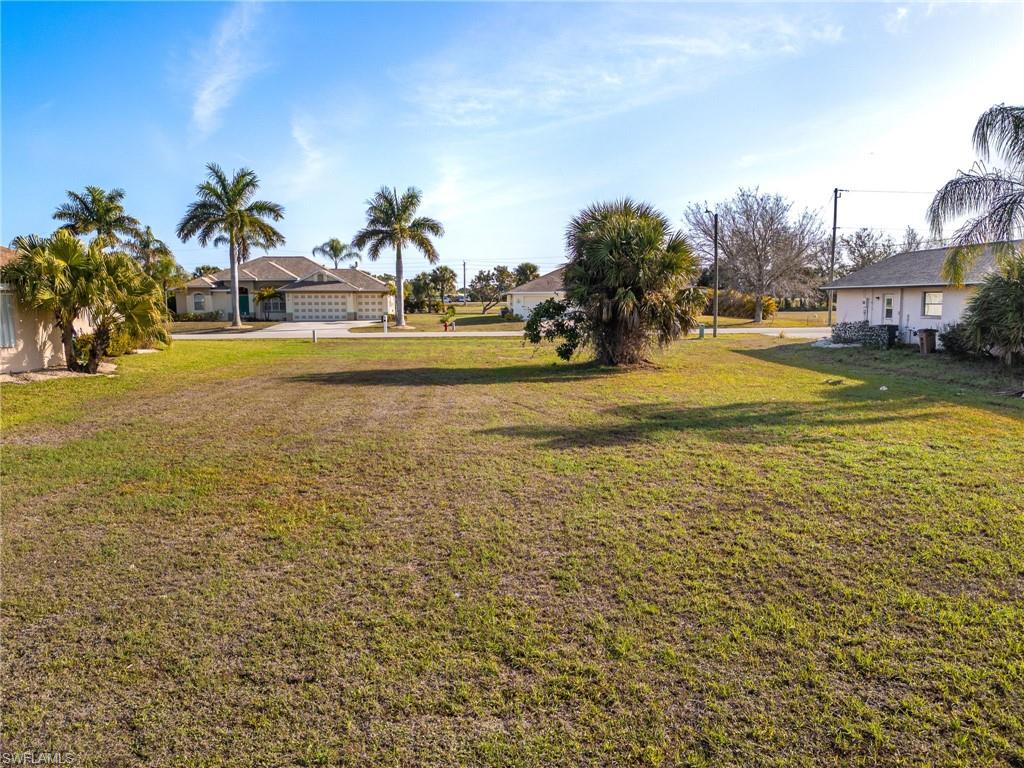 View of grassy yard