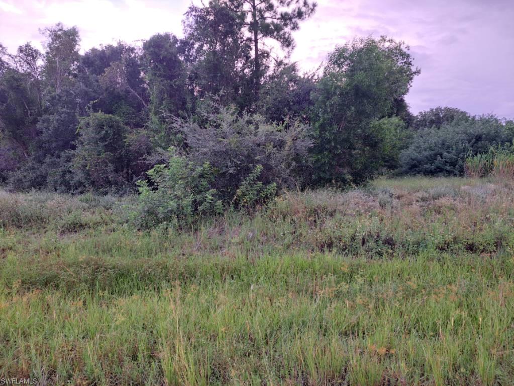 145 Pine LN