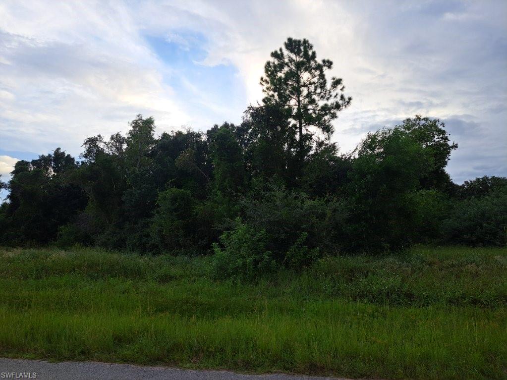 145 Pine LN