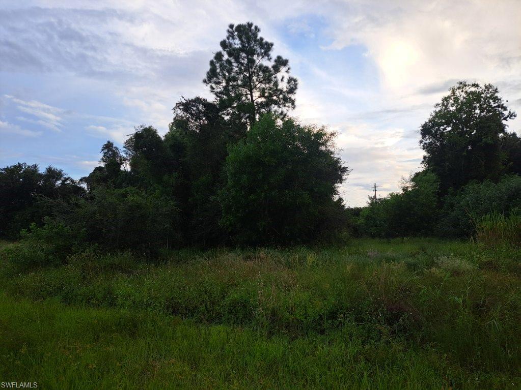 145 Pine LN