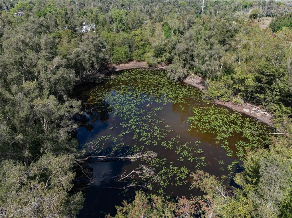 Bird's eye view of a nearby body of water