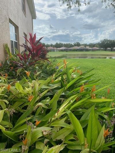 2021 Crestview WAY 113 photo 25