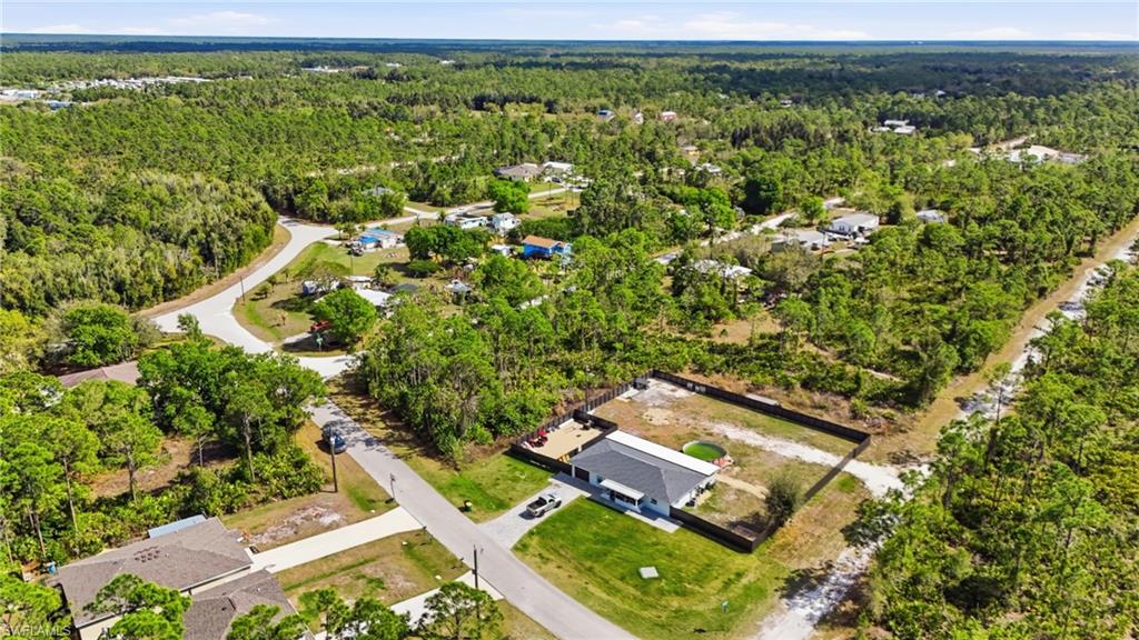 Drone / aerial view of a forest
