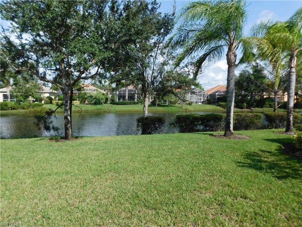 Lake view