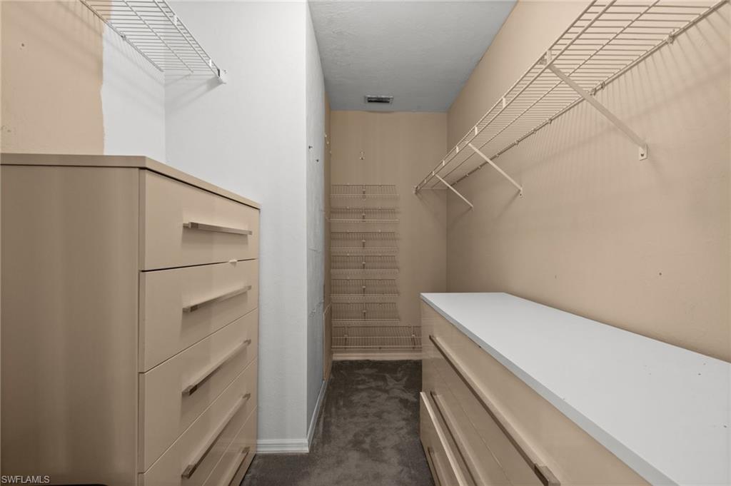 Walk in closet with carpet