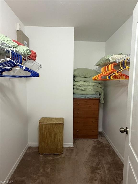 Walk in closet featuring dark colored carpet
