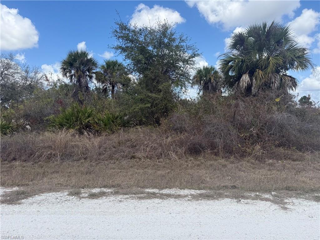 View of undeveloped land