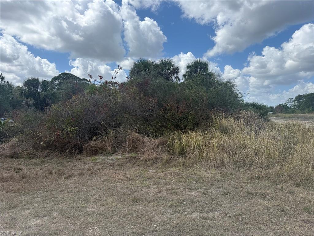 View of undeveloped land