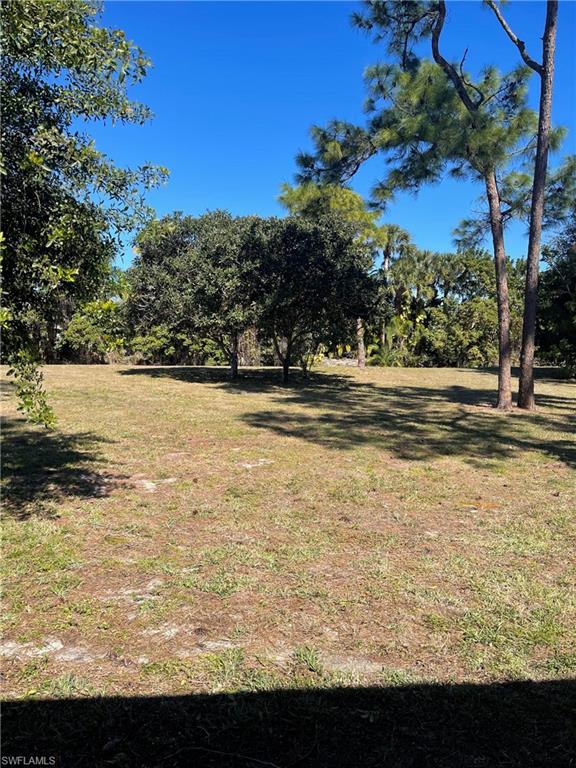 1095 Pine Isle LN 1095 photo 9