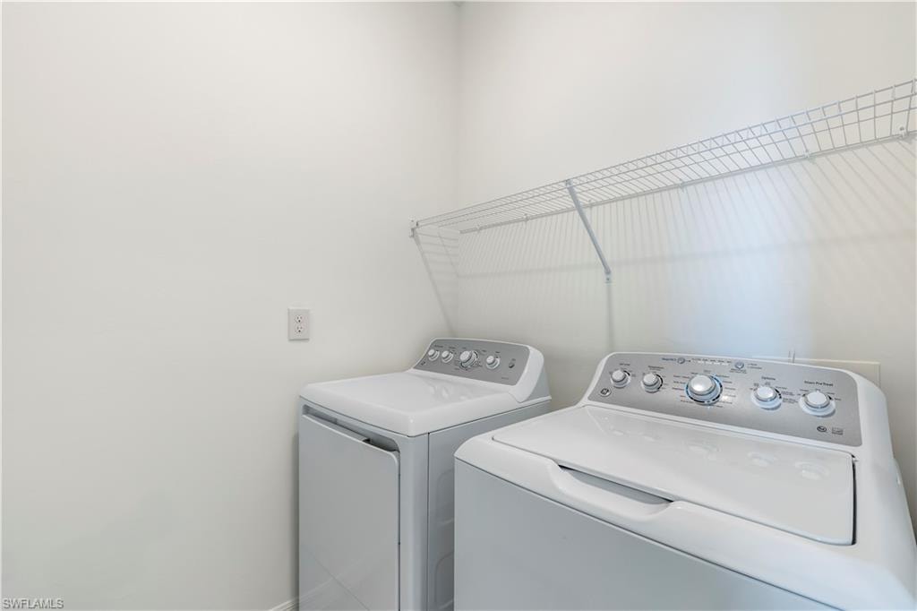 43285 Water Bird WAY 5422 photo 21