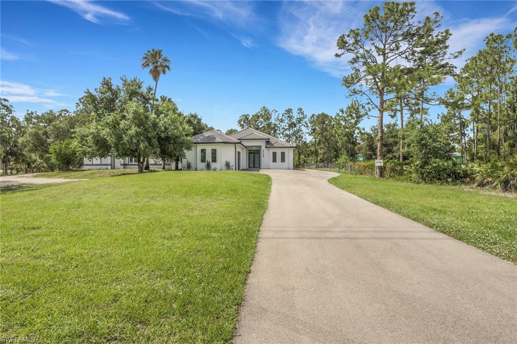 Contemporary single-story residence with a concrete driveway, expansive front lawn, and mature trees