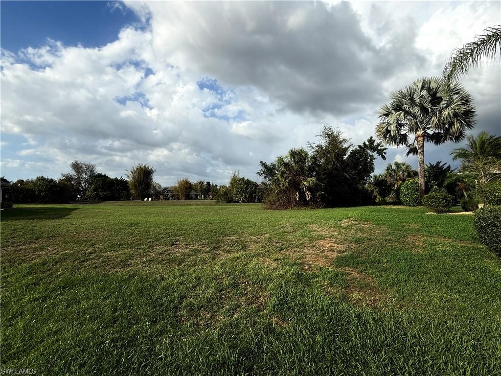 View of green lawn