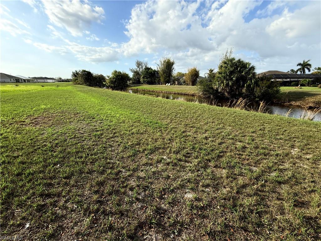 View of green lawn