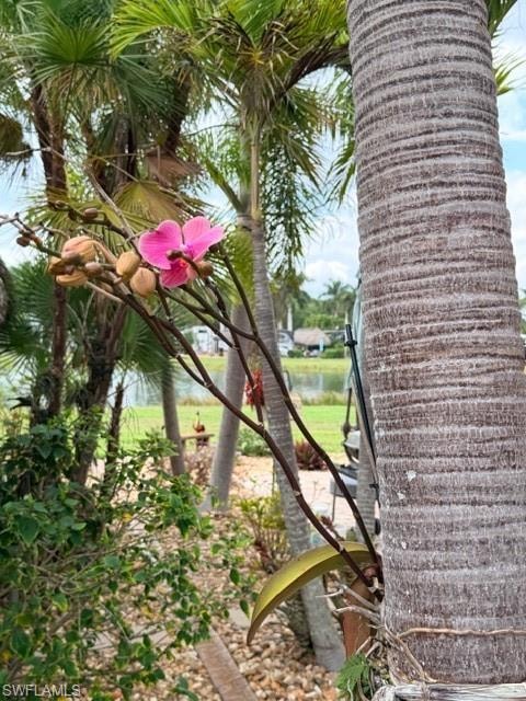 5222 Pineland Daisy TRL photo 35