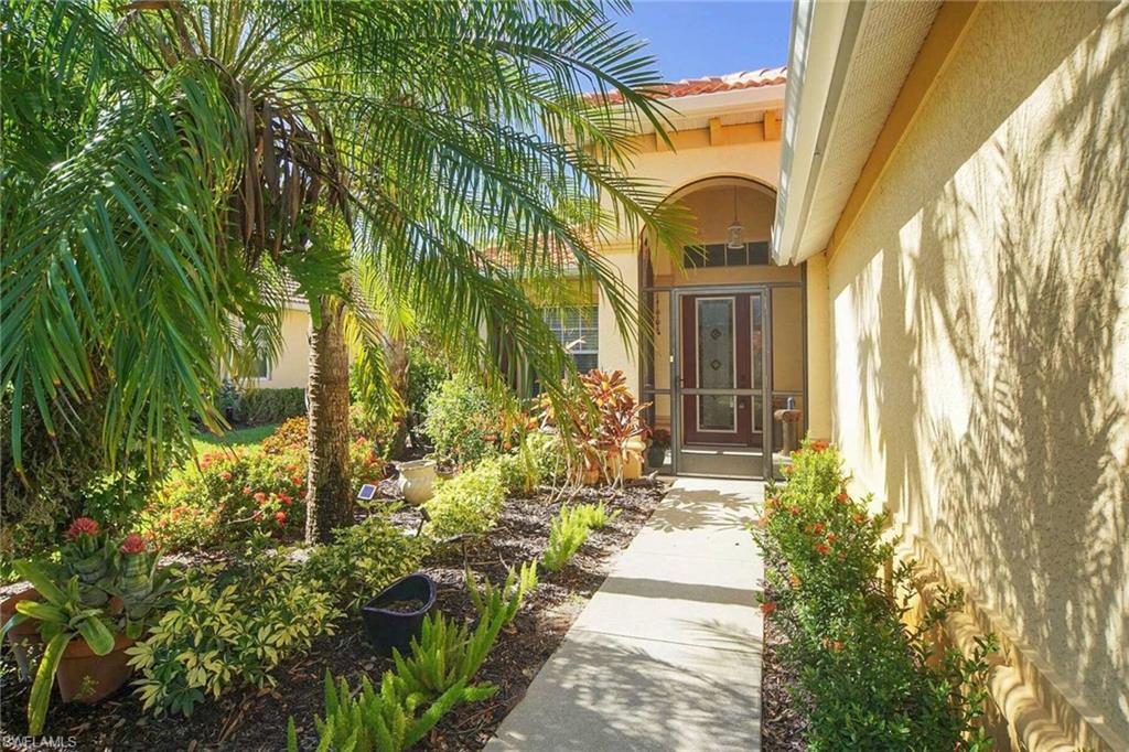 Tropical Landscaping