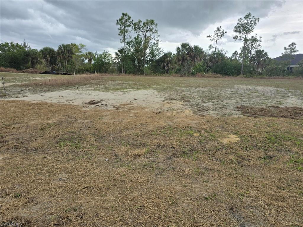 View of Lot Facing South