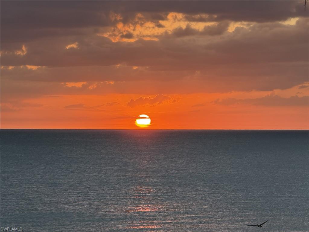 Naples is paradise! Gorgeous sunsets!