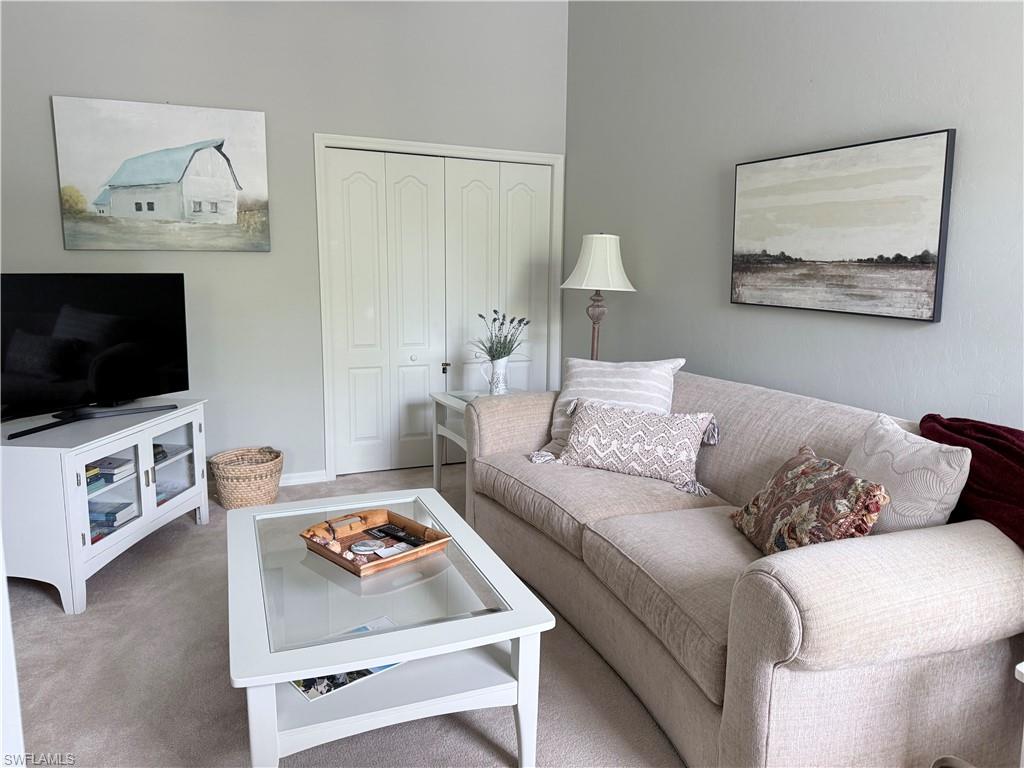 Living area with carpet