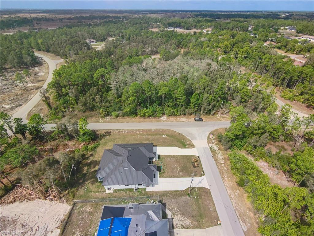 Drone / aerial view of a forest