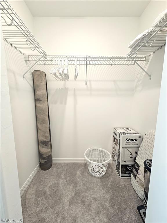 Spacious closet with carpet