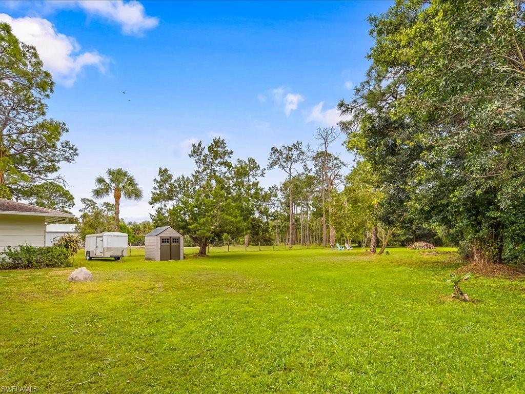 Spacious backyard