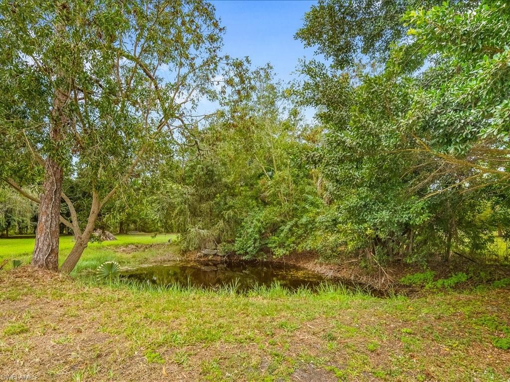 Small lake on property