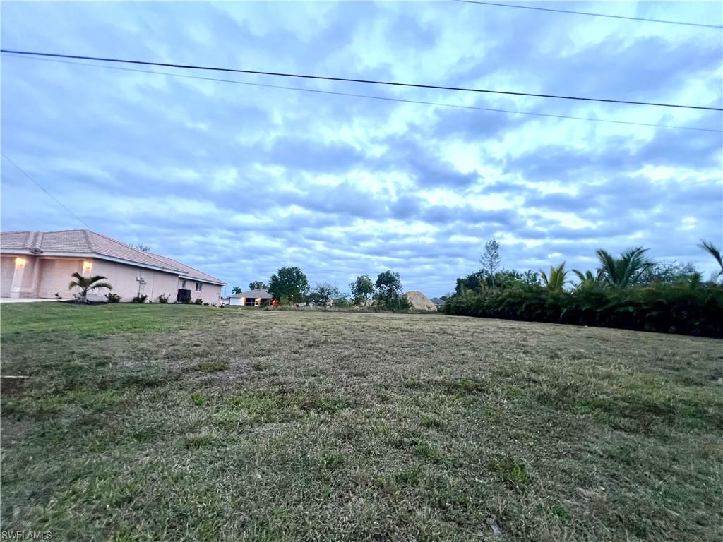View of grassy yard