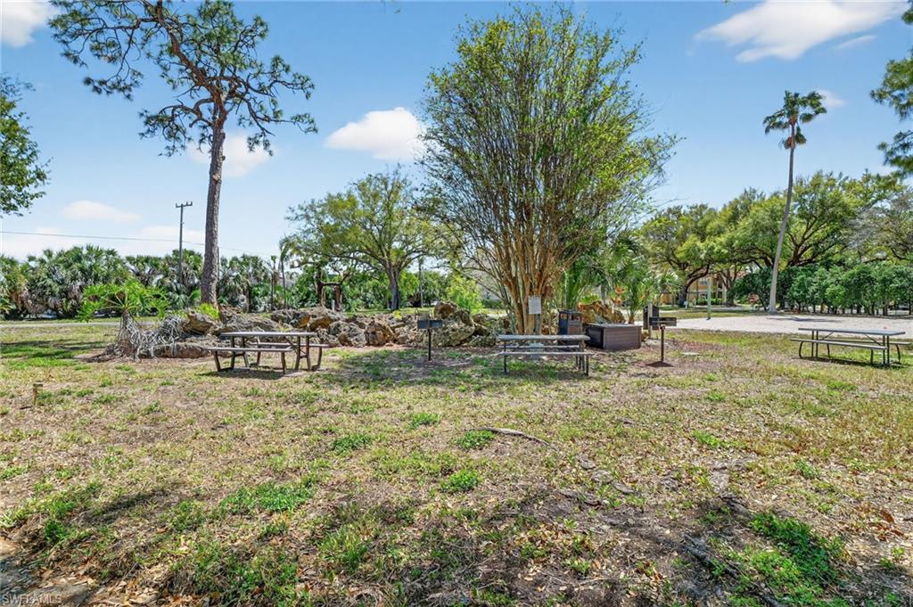View of green lawn