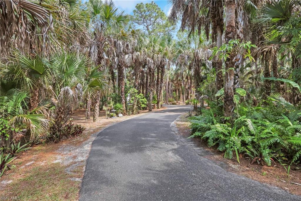 Gated main entrance. Long asphalt circular driveway with tons of space to park multiple vehicles. Home is nicely set back and private! Second gated entry off of Wilson Blvd N! Fully Fenced!