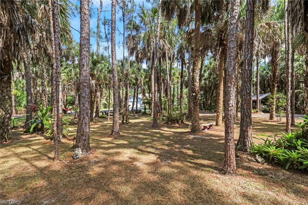 100% upland lot with beautiful, lush landscaping throughout! Tons of privacy!