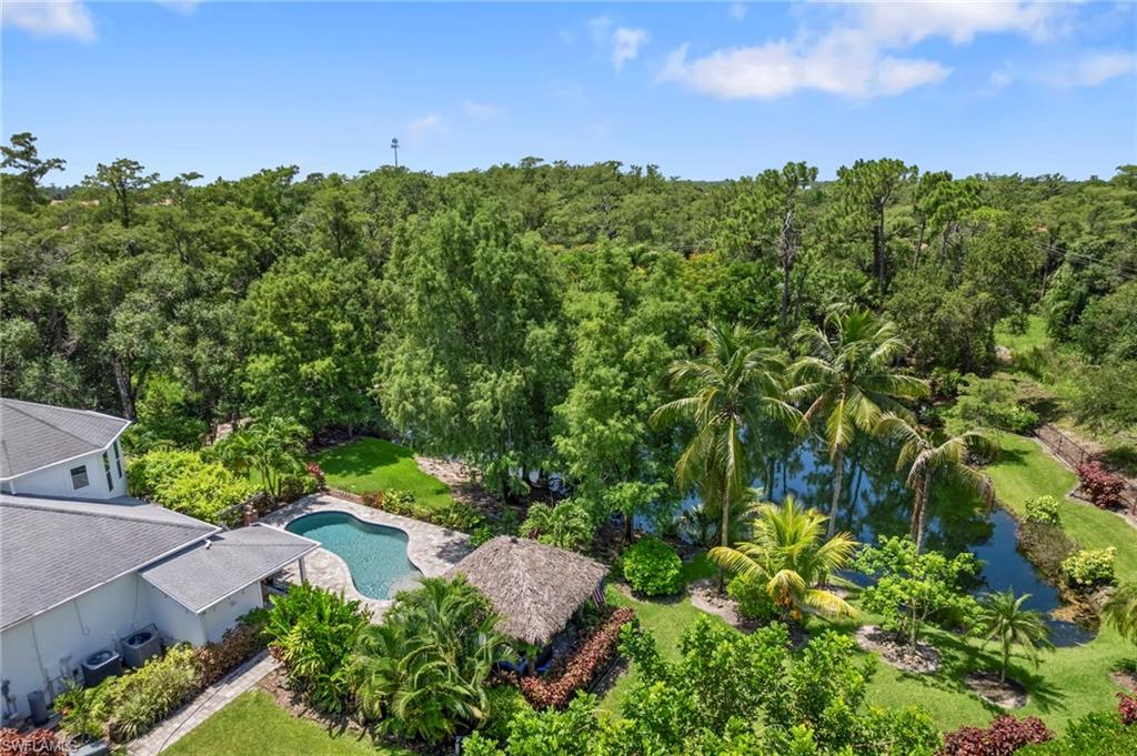 Bird's eye view of a pool