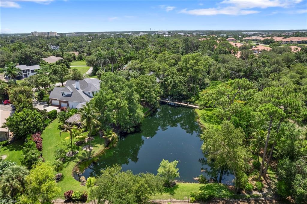 Drone / aerial view of a tree filled landscape and a large body of water