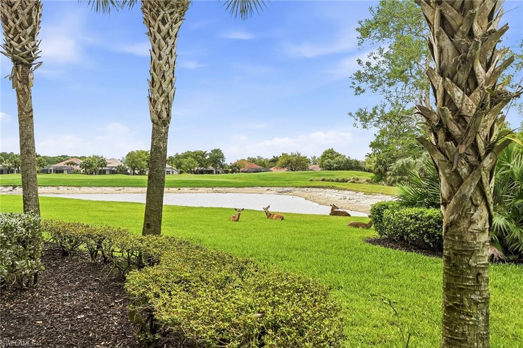 12026 Covent Garden CT 501 photo 31